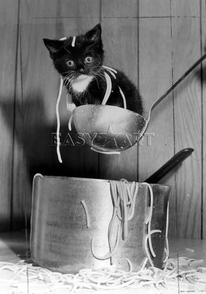 oups, il y a un chat dans le potage !